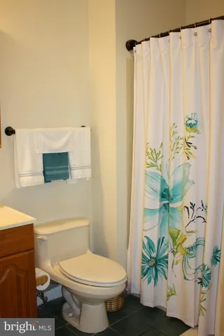 a bathroom with a toilet a sink and a shower curtain