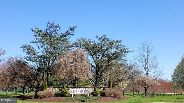 a view of river covered by trees