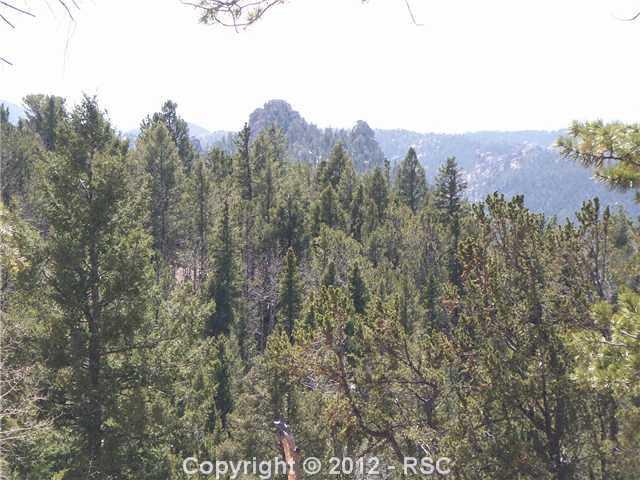 97 Paradiso Road Divide, CO 80814 - Photo 13 of 15