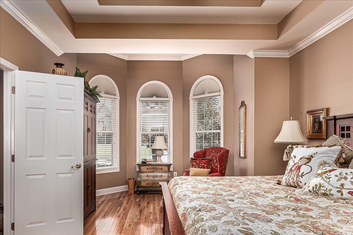 3401 Redstone Road Johnson City, TN 37604 - Photo 4 of 24 MASTER WITH DOUBLE TRAY CEILING