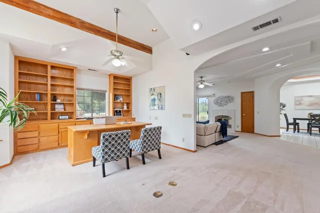a living room with furniture and a potted plant