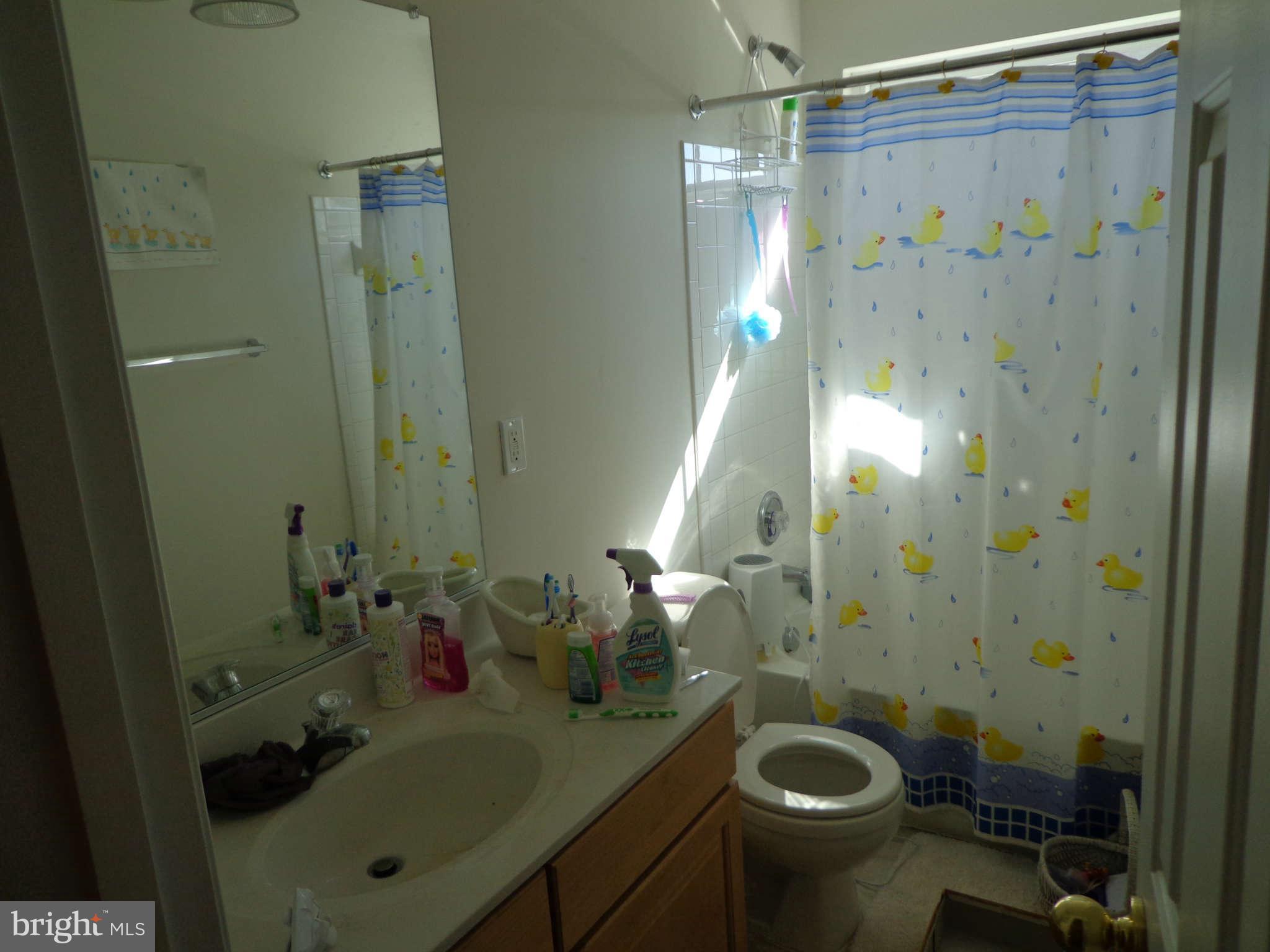 487 Blossom Tree Road Culpeper, VA 22701 - Photo 16 of 30 Bath