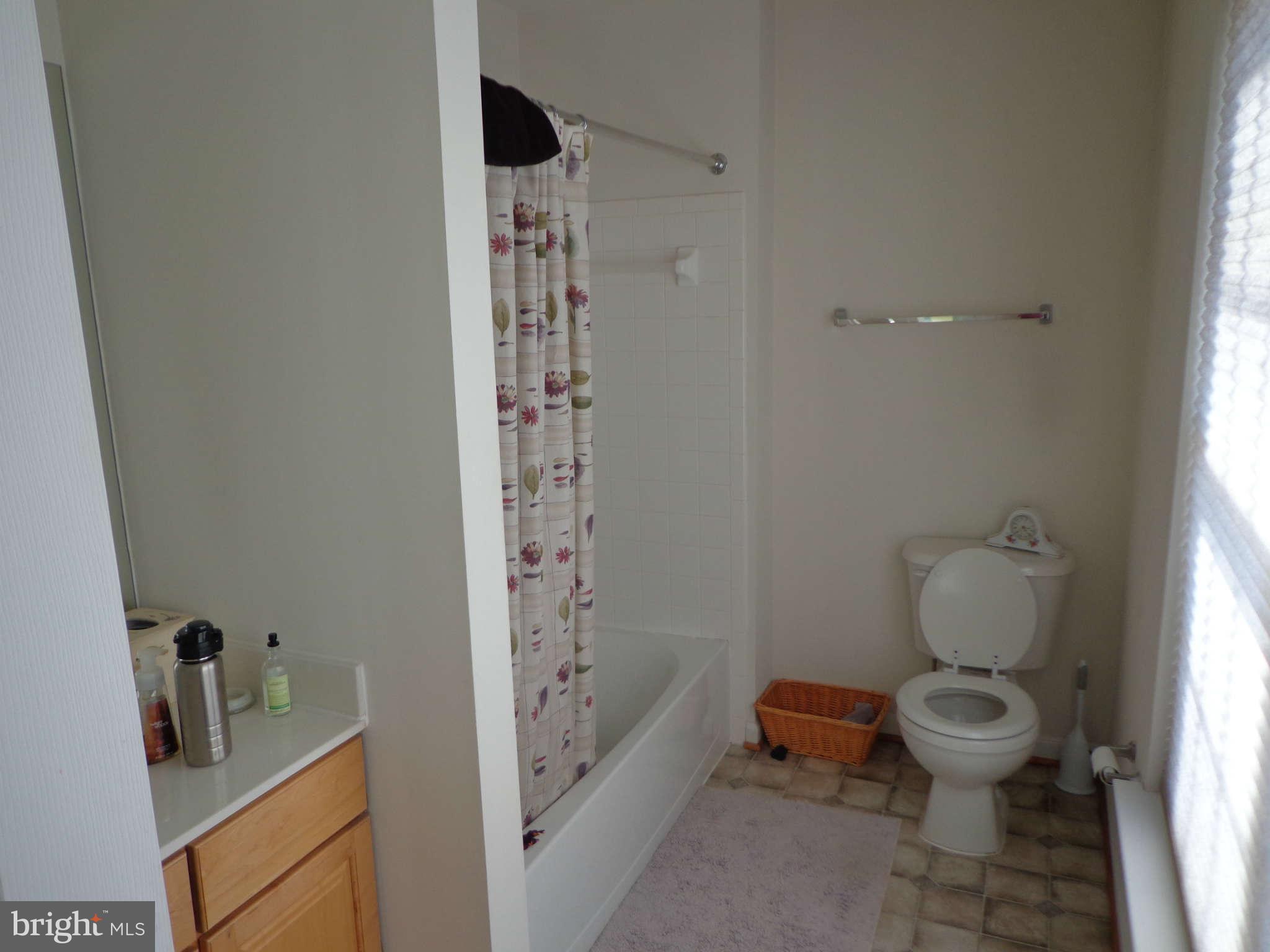 487 Blossom Tree Road Culpeper, VA 22701 - Photo 20 of 30 Bath