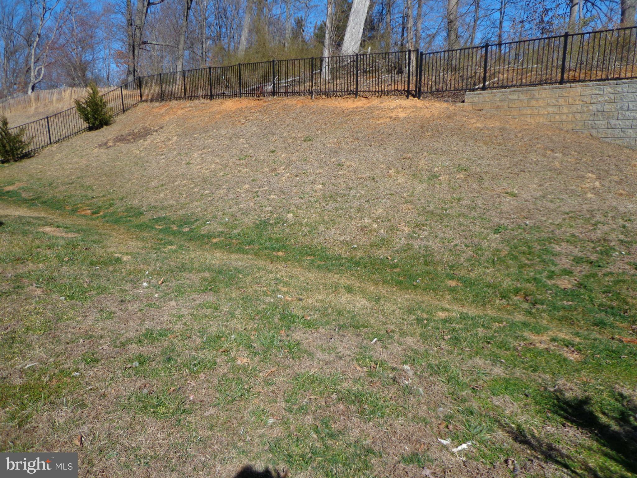 487 Blossom Tree Road Culpeper, VA 22701 - Photo 30 of 30 Exterior (Rear)