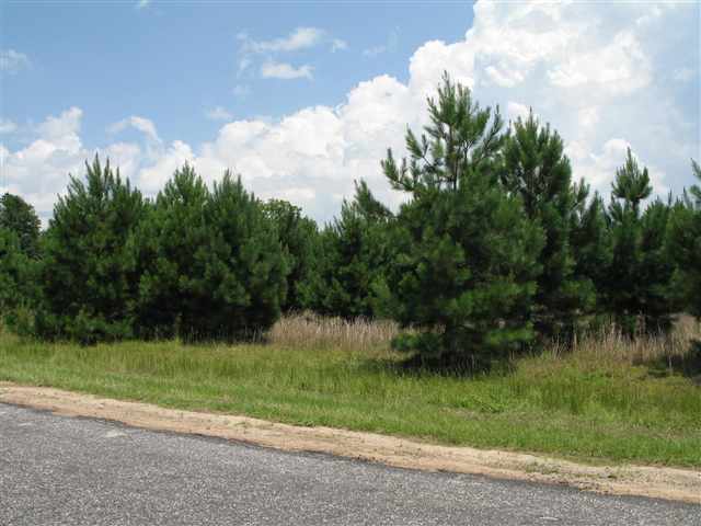 3424 Maudes Road Marion, SC 29571 - Photo 1 of 3 Gallery Image 1