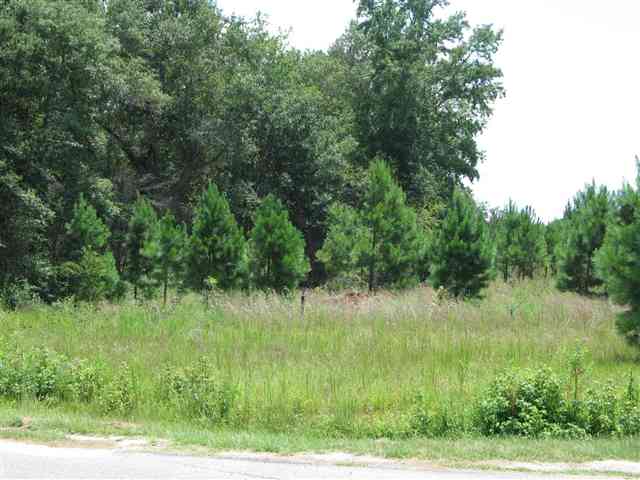 3424 Maudes Road Marion, SC 29571 - Photo 2 of 3 Gallery Image 2