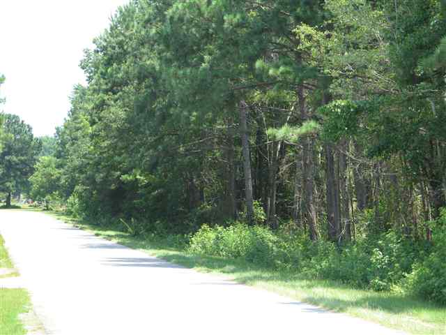3424 Maudes Road Marion, SC 29571 - Photo 3 of 3 Gallery Image 3