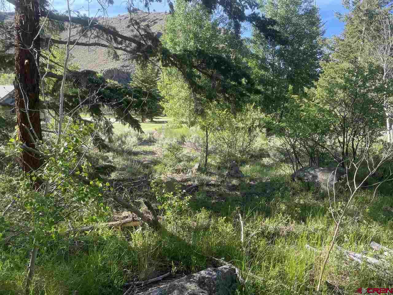 27 Acres Adjoining Homestead Subdivision Almont, CO 81210 - Photo 1 of 31 a view of a tree in a yard