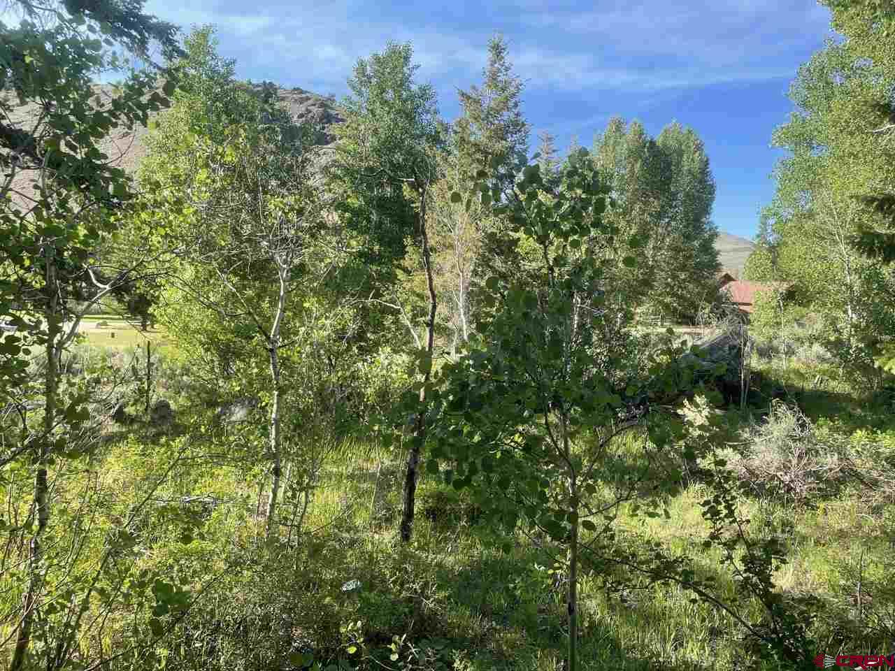 27 Acres Adjoining Homestead Subdivision Almont, CO 81210 - Photo 11 of 31 a view of a lush green forest with large trees