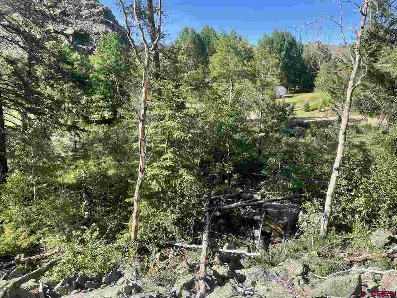 27 Acres Adjoining Homestead Subdivision Almont, CO 81210 - Photo 12 of 31 a view of a forest with a tree