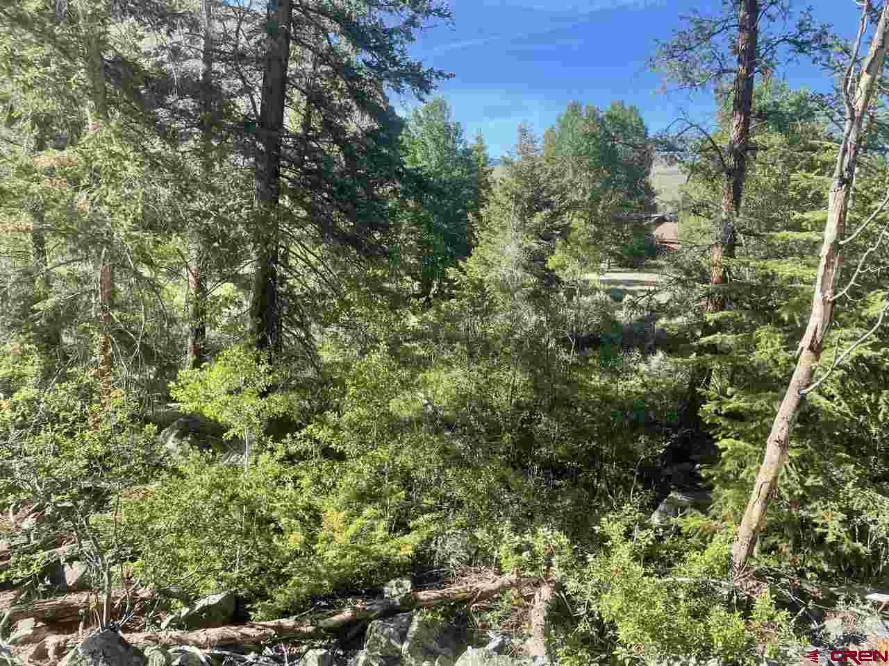 27 Acres Adjoining Homestead Subdivision Almont, CO 81210 - Photo 13 of 31 a view of a forest with a tree