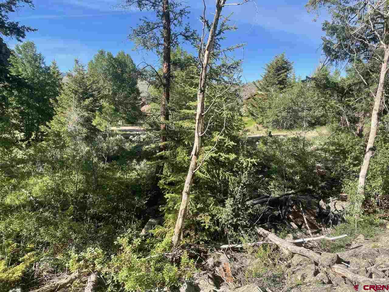 27 Acres Adjoining Homestead Subdivision Almont, CO 81210 - Photo 14 of 31 a view of a forest