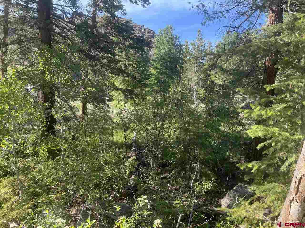 27 Acres Adjoining Homestead Subdivision Almont, CO 81210 - Photo 15 of 31 a view of a yard