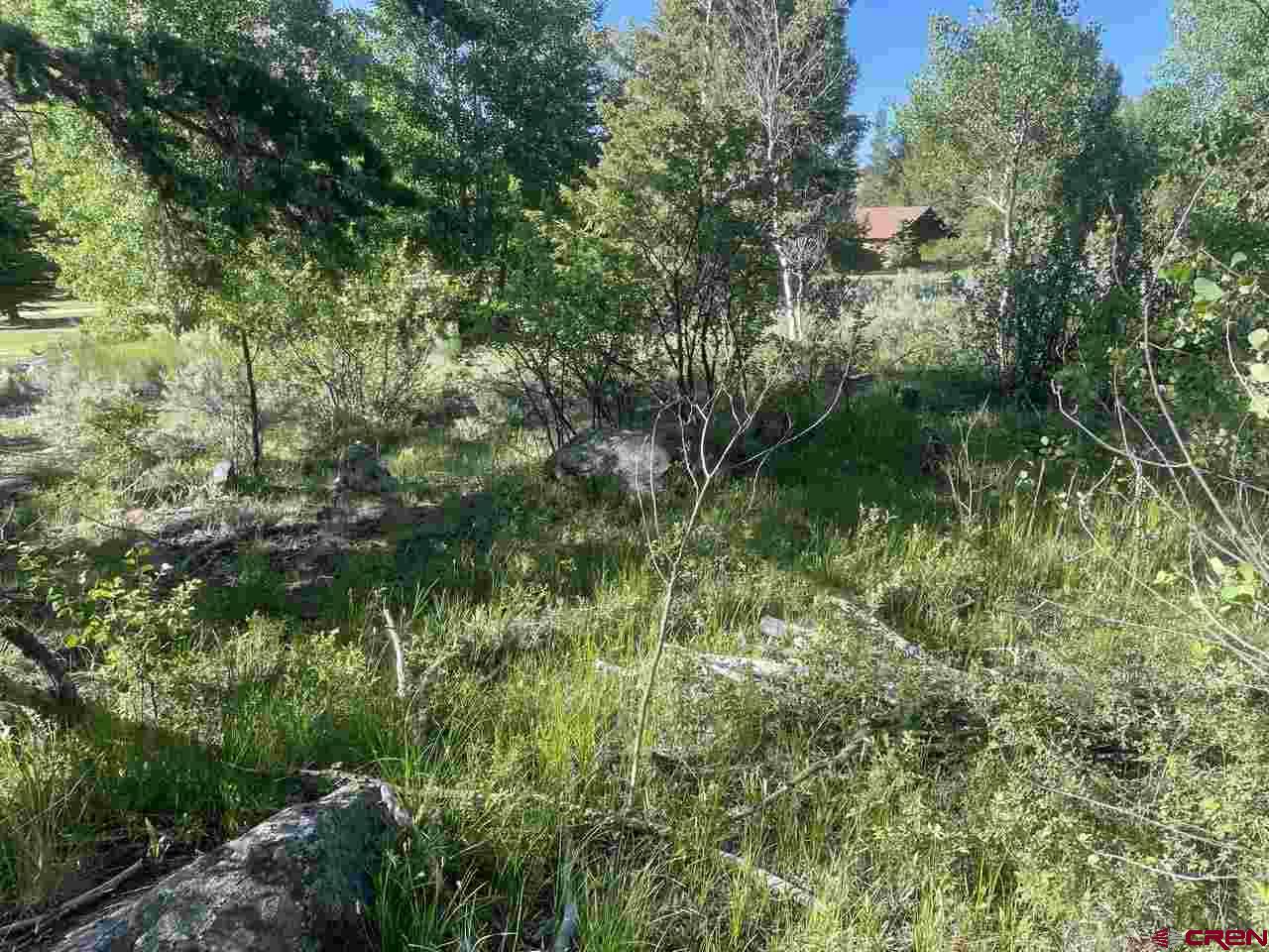 27 Acres Adjoining Homestead Subdivision Almont, CO 81210 - Photo 18 of 31 a view of a garden