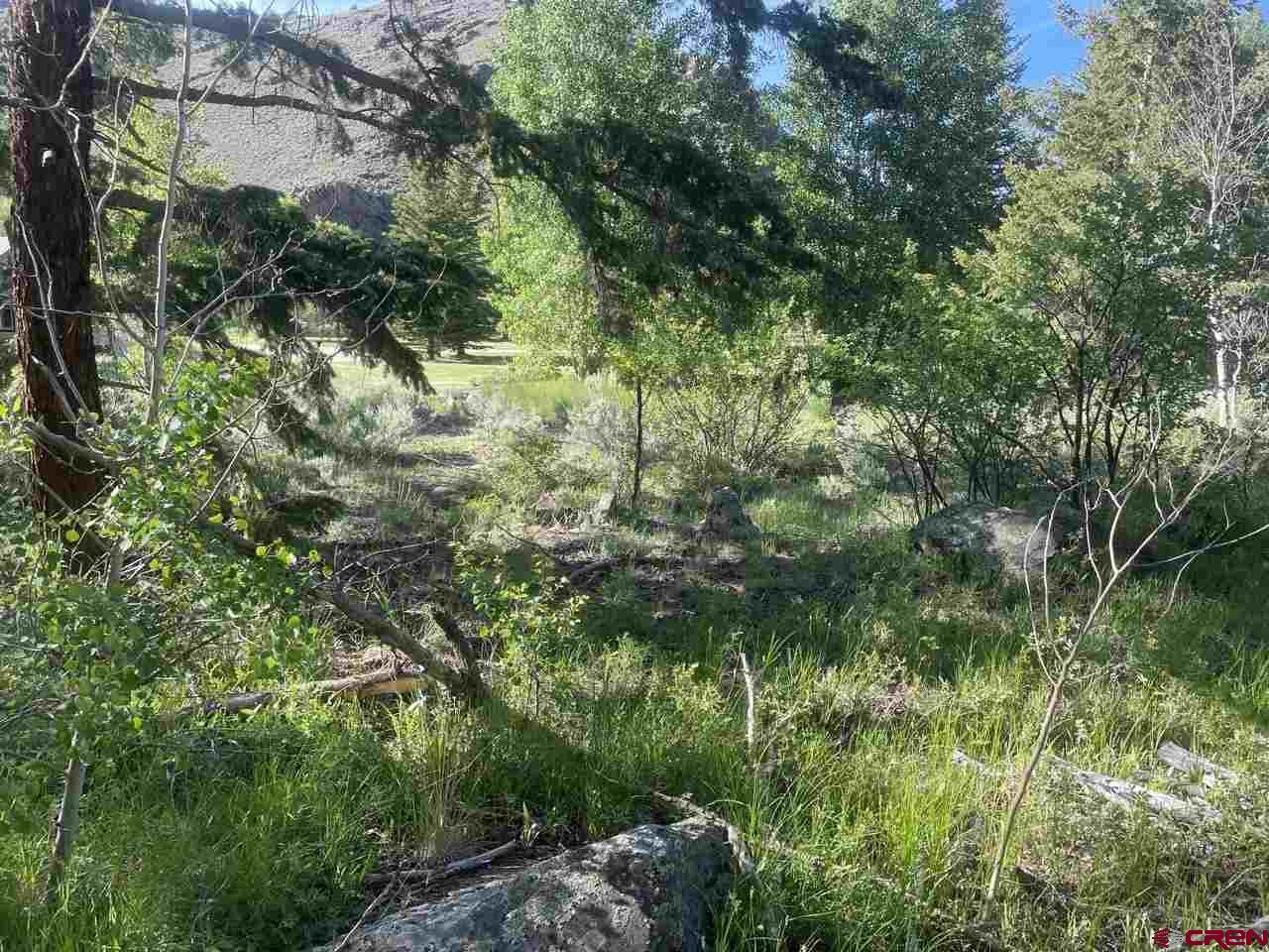 27 Acres Adjoining Homestead Subdivision Almont, CO 81210 - Photo 19 of 31 a view of a lush green forest