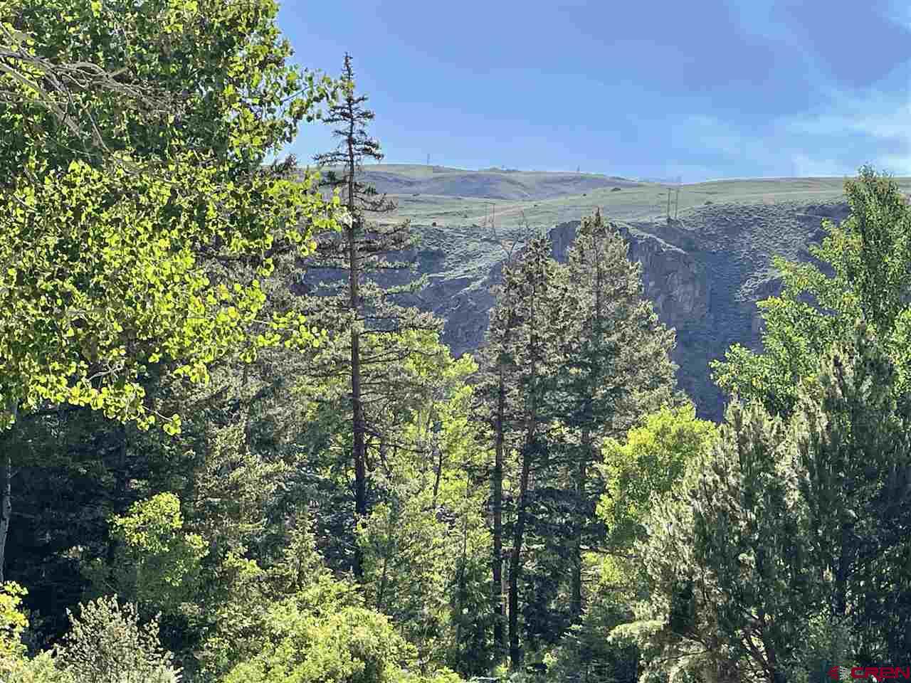 27 Acres Adjoining Homestead Subdivision Almont, CO 81210 - Photo 2 of 31