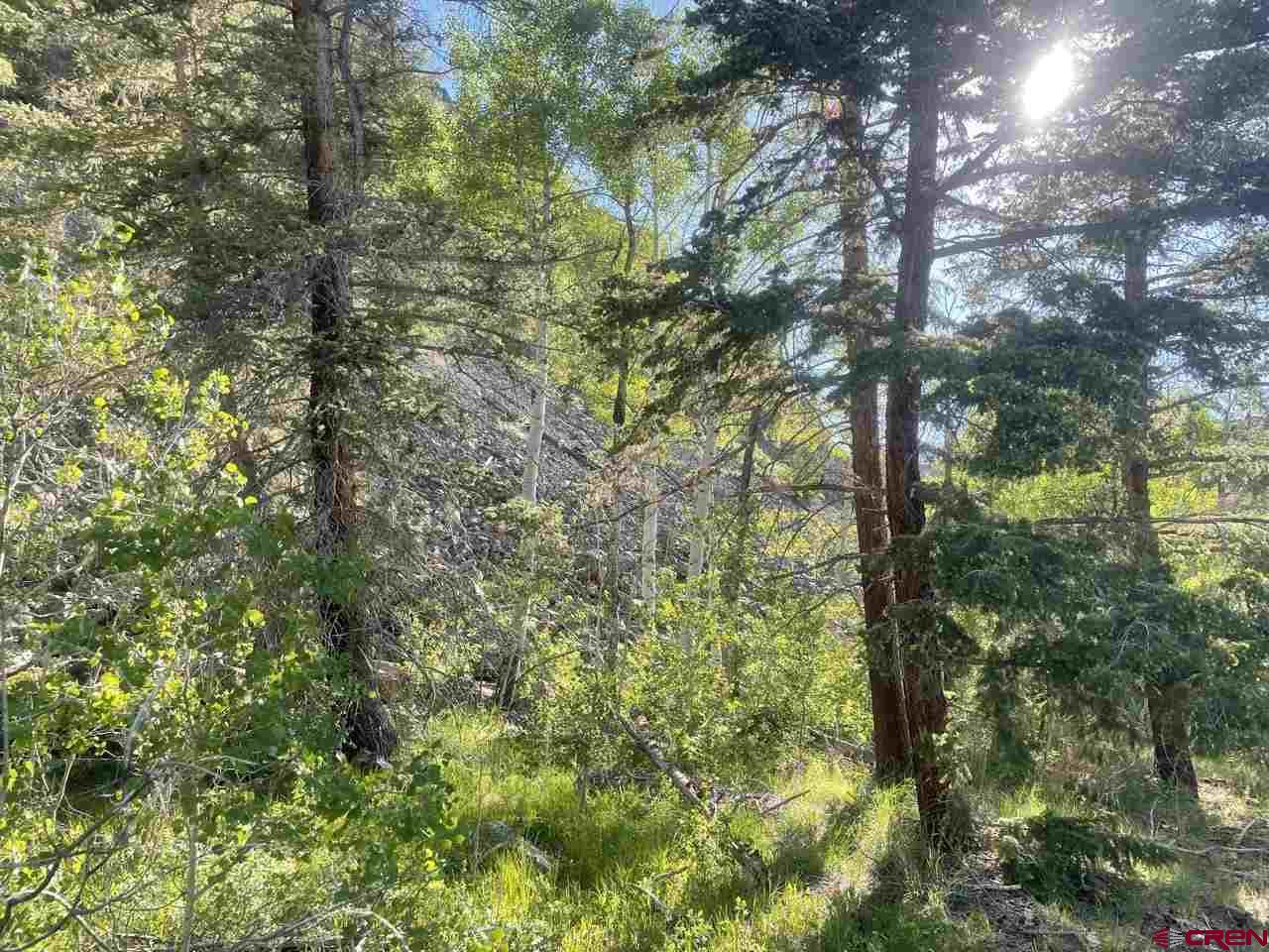 27 Acres Adjoining Homestead Subdivision Almont, CO 81210 - Photo 21 of 31 a view of a tree in a yard