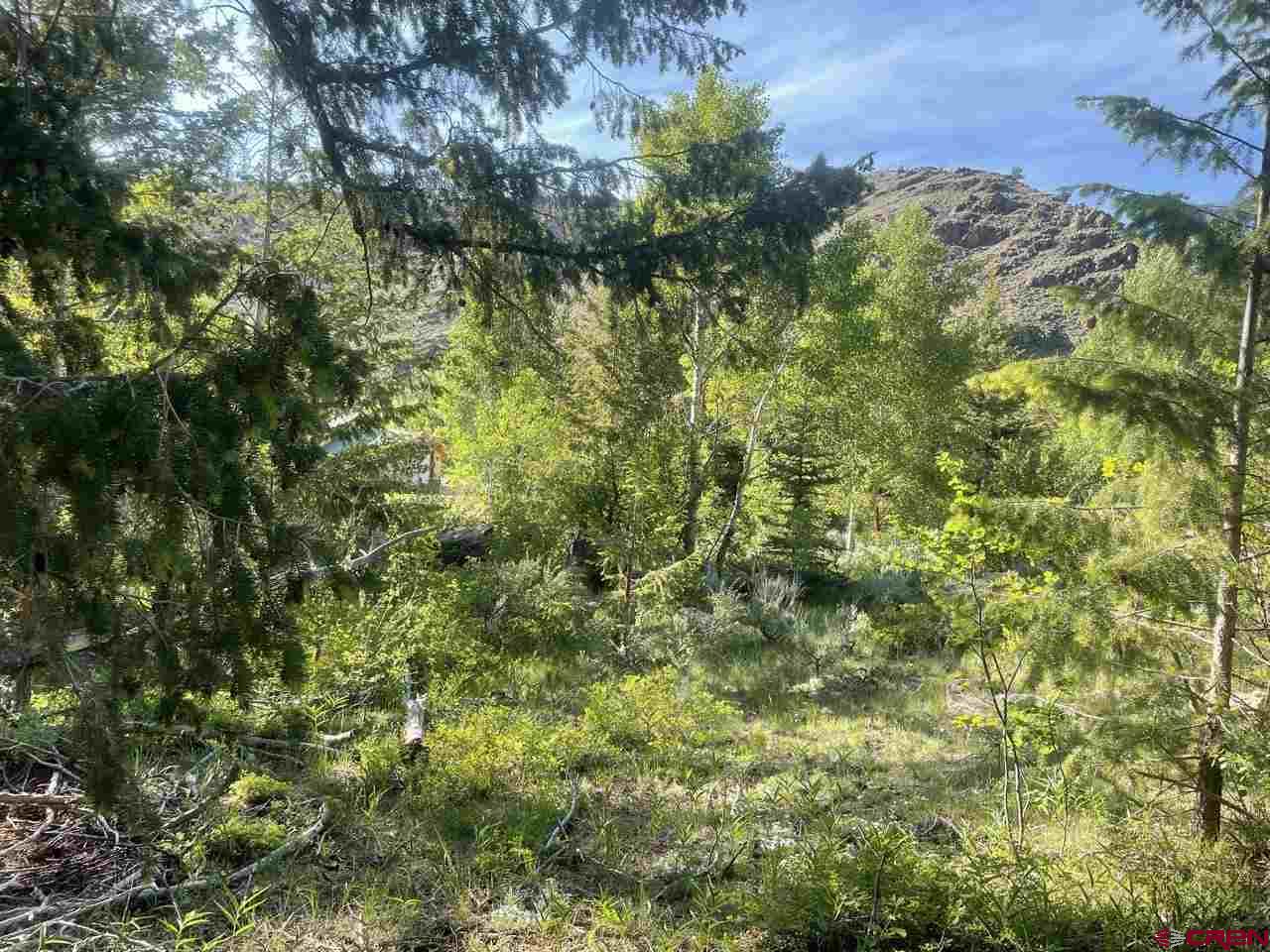 27 Acres Adjoining Homestead Subdivision Almont, CO 81210 - Photo 23 of 31 a view of a lush green forest