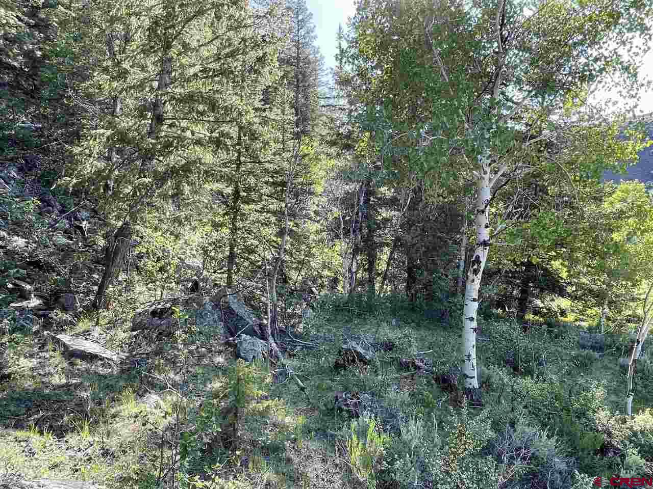 27 Acres Adjoining Homestead Subdivision Almont, CO 81210 - Photo 25 of 31 a view of a forest with a tree