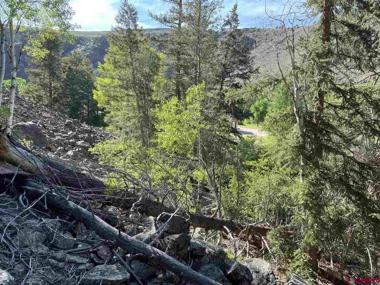 27 Acres Adjoining Homestead Subdivision Almont, CO 81210 - Photo 28 of 31 a view of a forest with plants and trees
