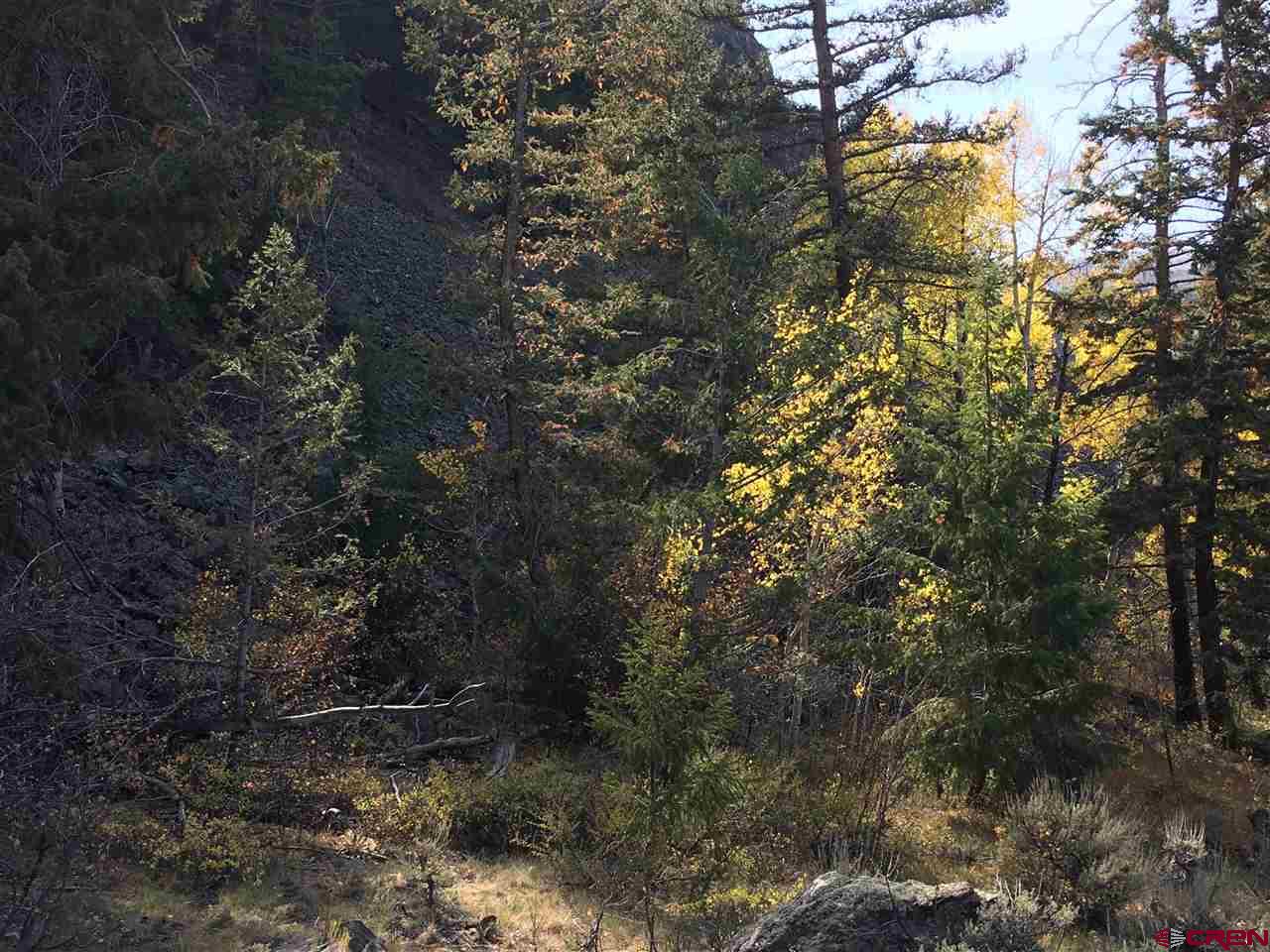 27 Acres Adjoining Homestead Subdivision Almont, CO 81210 - Photo 3 of 31 a view of a tree in a yard