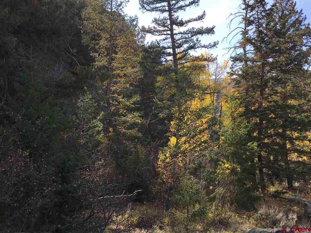 27 Acres Adjoining Homestead Subdivision Almont, CO 81210 - Photo 4 of 31 a backyard of a house