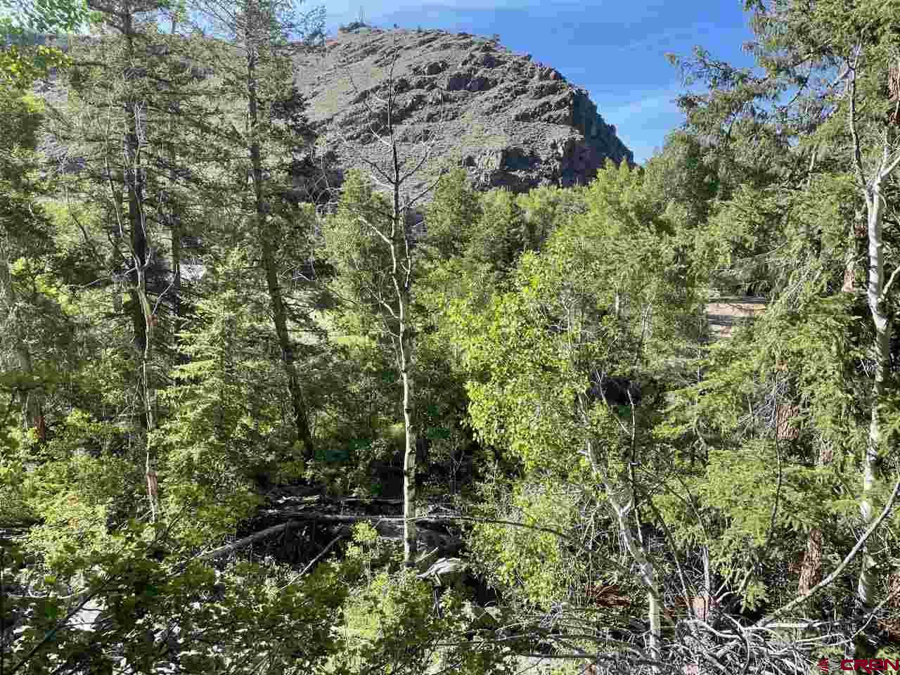 27 Acres Adjoining Homestead Subdivision Almont, CO 81210 - Photo 8 of 31 a view of a large yard with lots of bushes