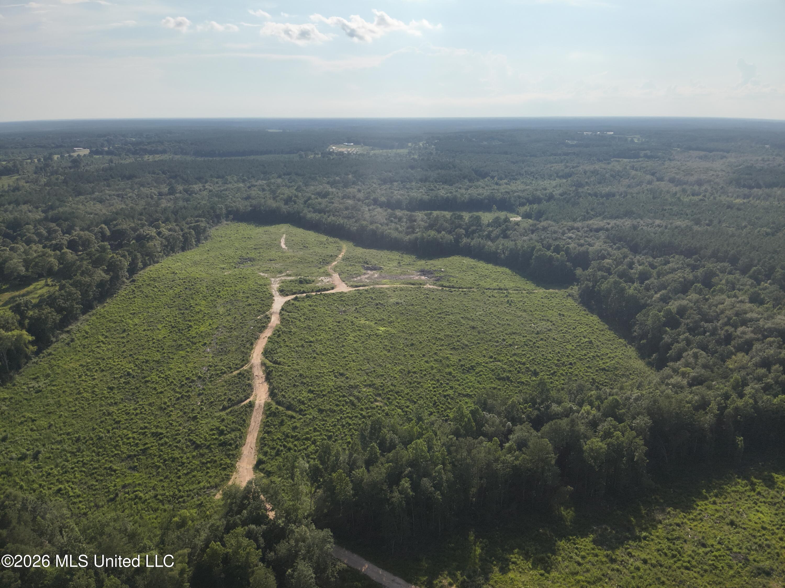 Oscar Bell Road Waynesboro, MS 39367 - Photo 10 of 23 DJI_20260710173803_0015_V