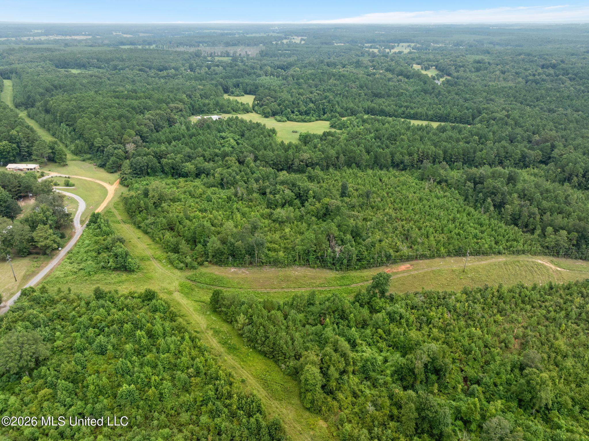 2 Ethel Road Collins, MS 39428 - Photo 6 of 12 52_Ethel_Rd_Lot_2-18