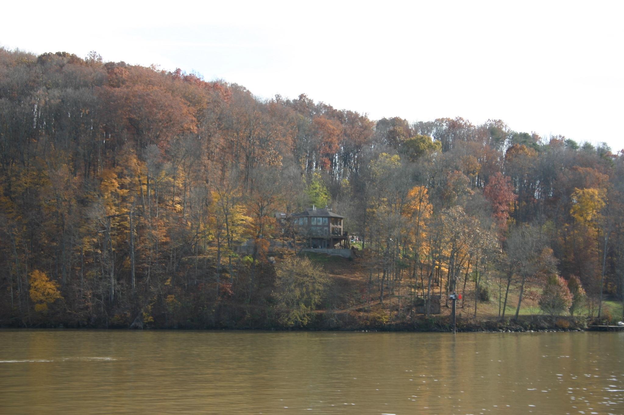 658 Parks Ferry Road Friendsville, TN 37737 - Photo 1 of 32 IMG_0756