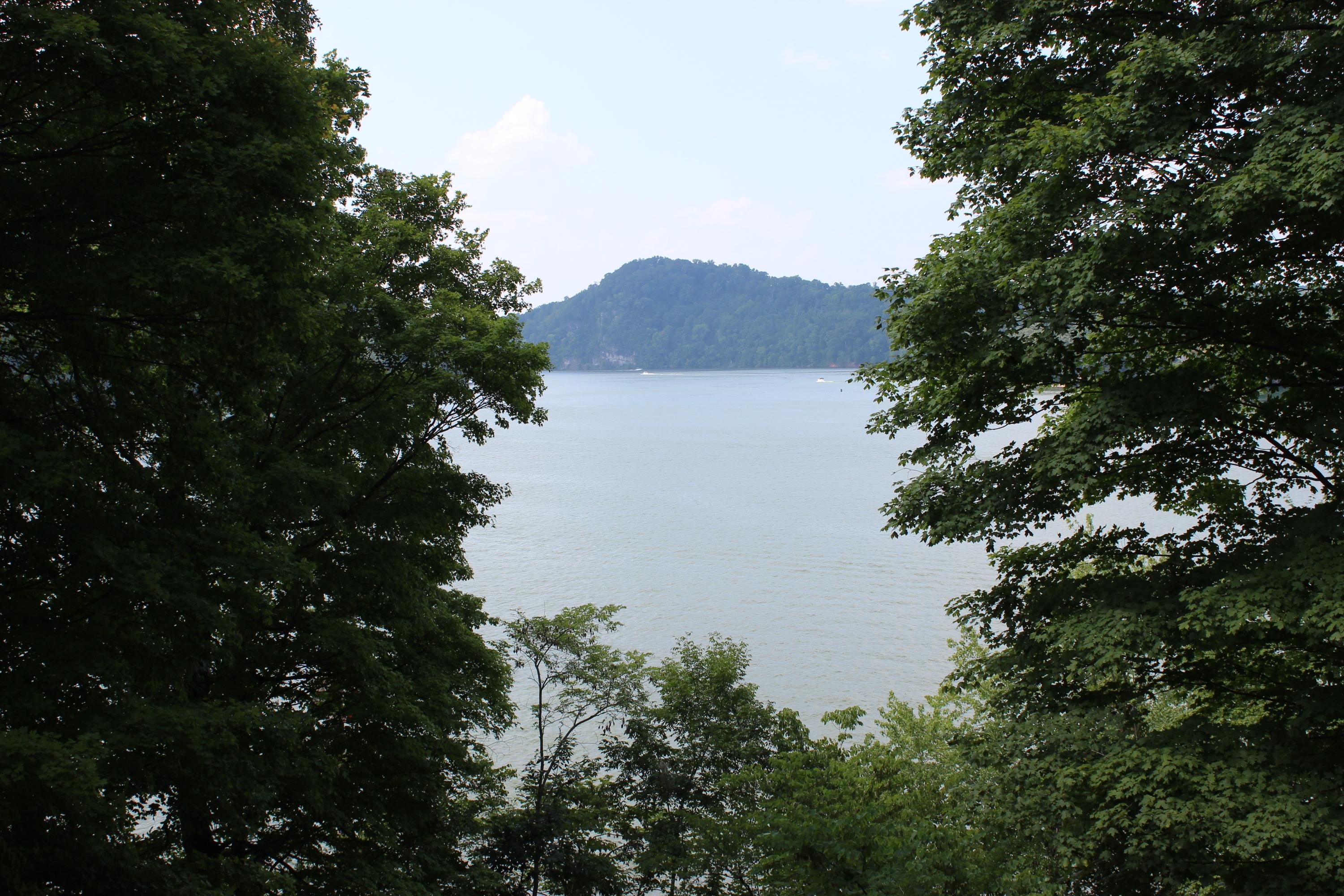 658 Parks Ferry Road Friendsville, TN 37737 - Photo 10 of 32 IMG_2868