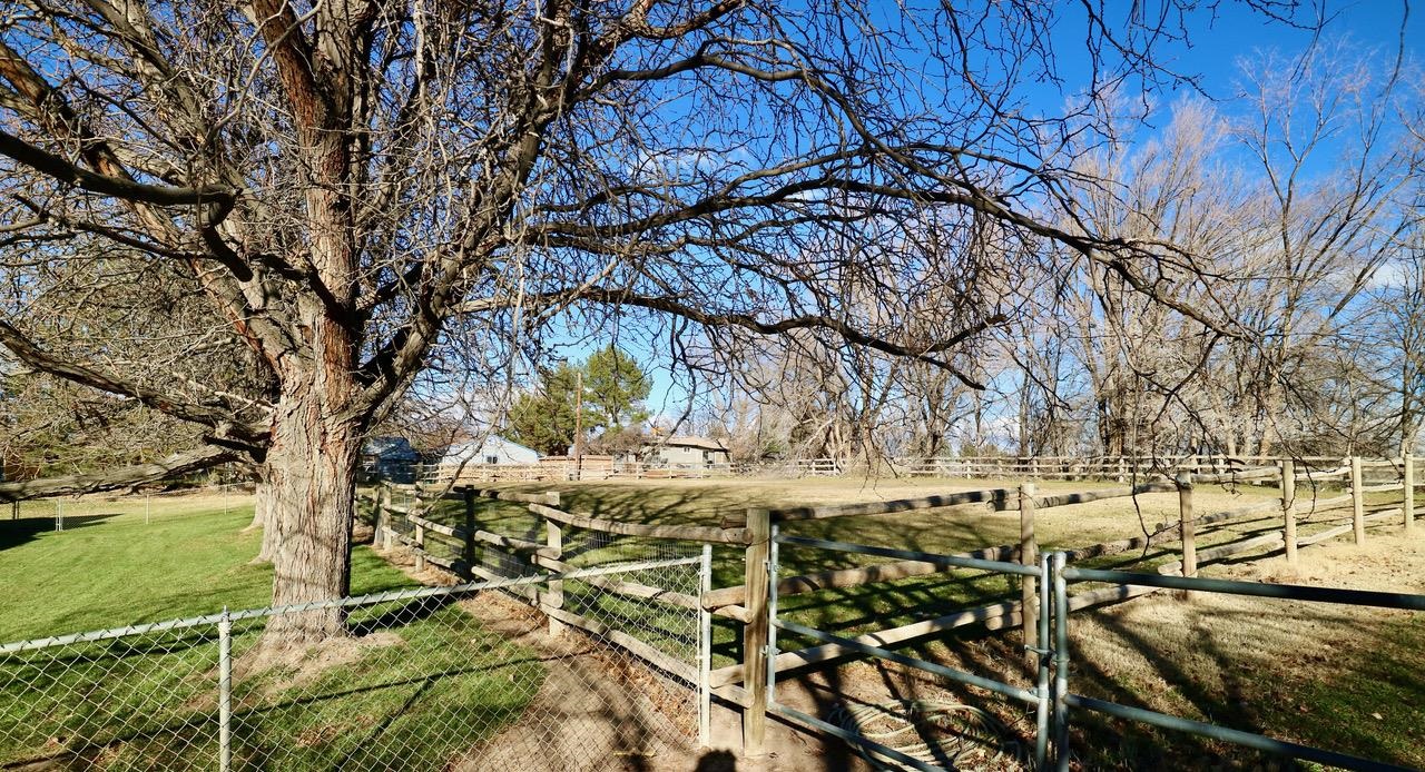 508 23 Road Grand Junction, CO 81507 - Photo 20 of 23 Gallery Image 20