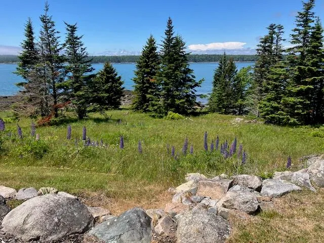 $1,200,000 | 613 Yoho Head Road, Machiasport, ME 04655