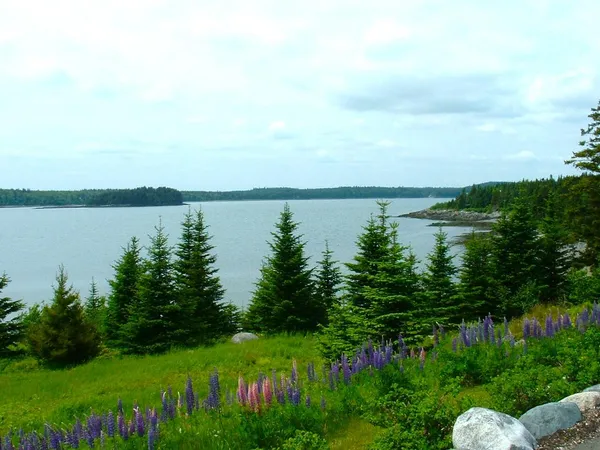 $1,200,000 | 613 Yoho Head Road, Machiasport, ME 04655