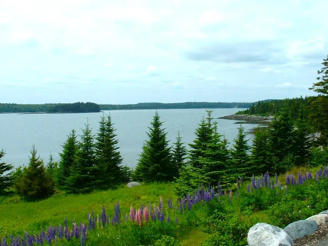 $1,200,000 | 613 Yoho Head Road, Machiasport, ME 04655