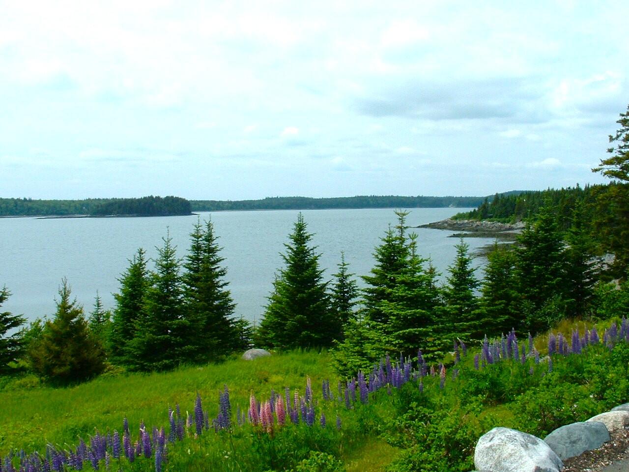 613 Yoho Head Road Machiasport, ME 04655 - Photo 66 of 97 Ocean View & Lawn Area