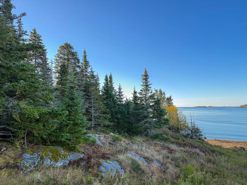 613 Yoho Head Road Machiasport, ME 04655 - Photo 68 of 97 Ocean View & Rocky Ledges