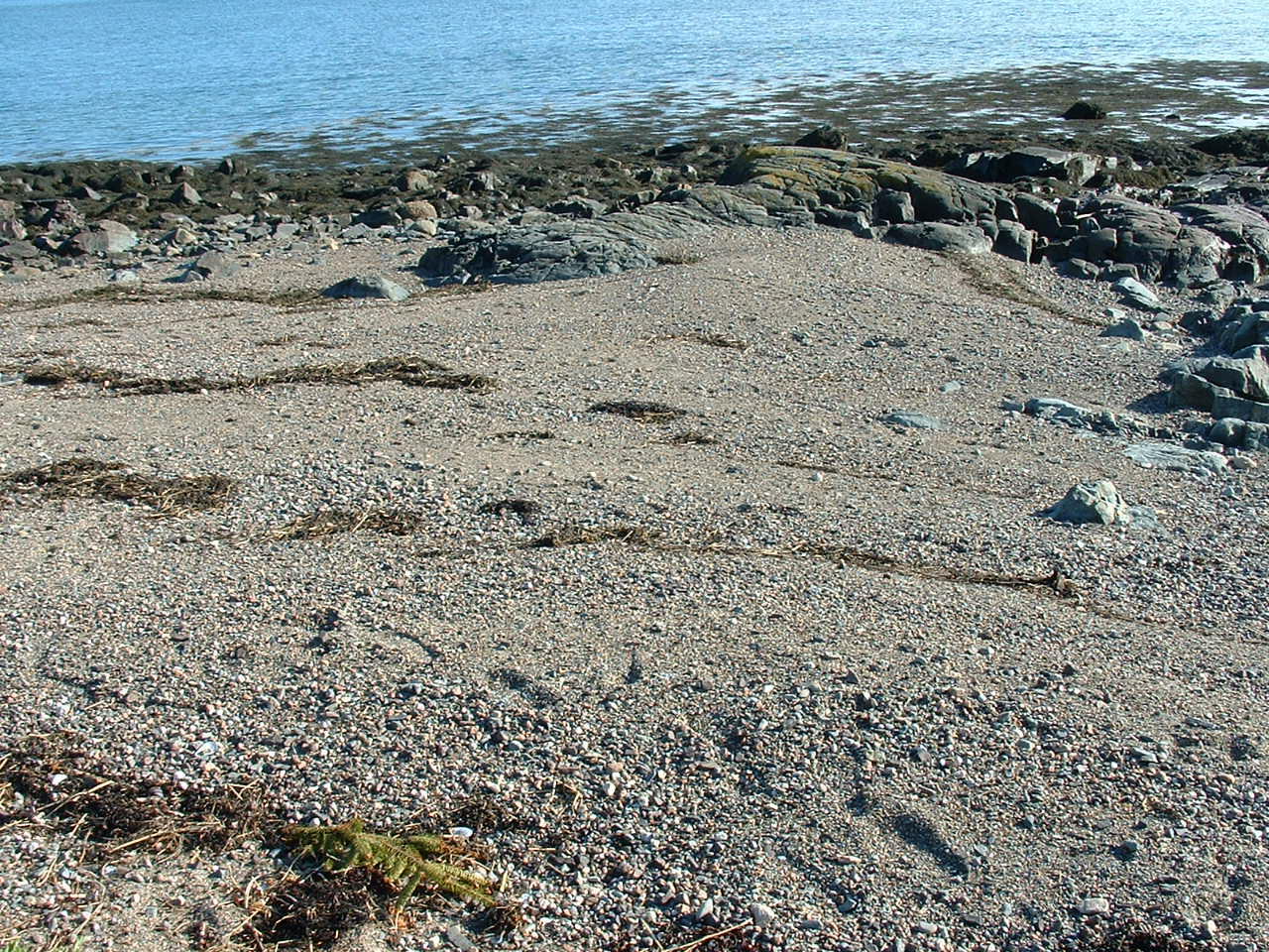 613 Yoho Head Road Machiasport, ME 04655 - Photo 73 of 97 Private Pocket Sand & Pebble Beach