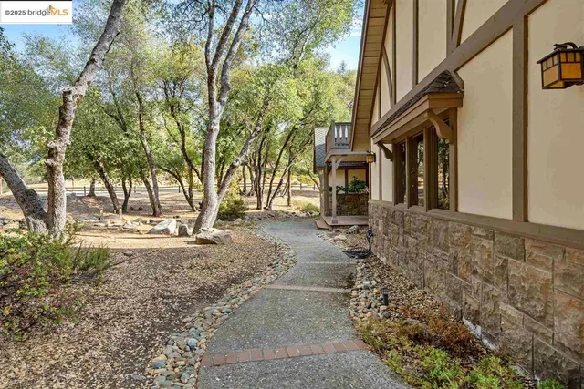 a view of a yard with plants and trees