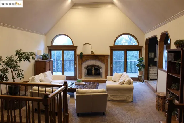 a living room with furniture a fireplace and a potted plant