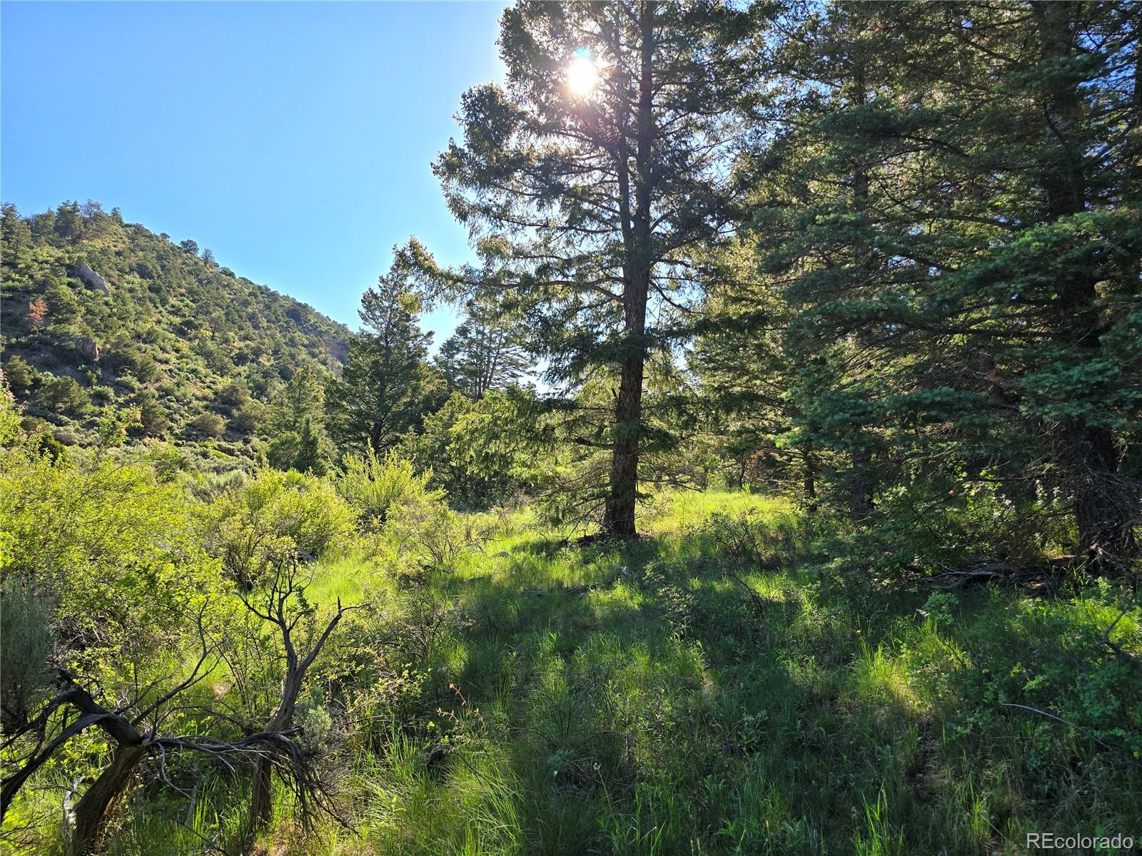 5941 Forbes Road San Luis, CO 81152 - Photo 1 of 23 Gallery Image 1