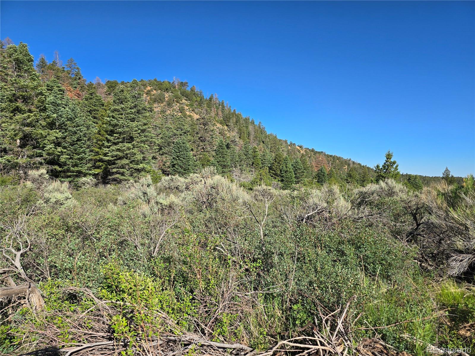 5941 Forbes Road San Luis, CO 81152 - Photo 11 of 23 Gallery Image 11