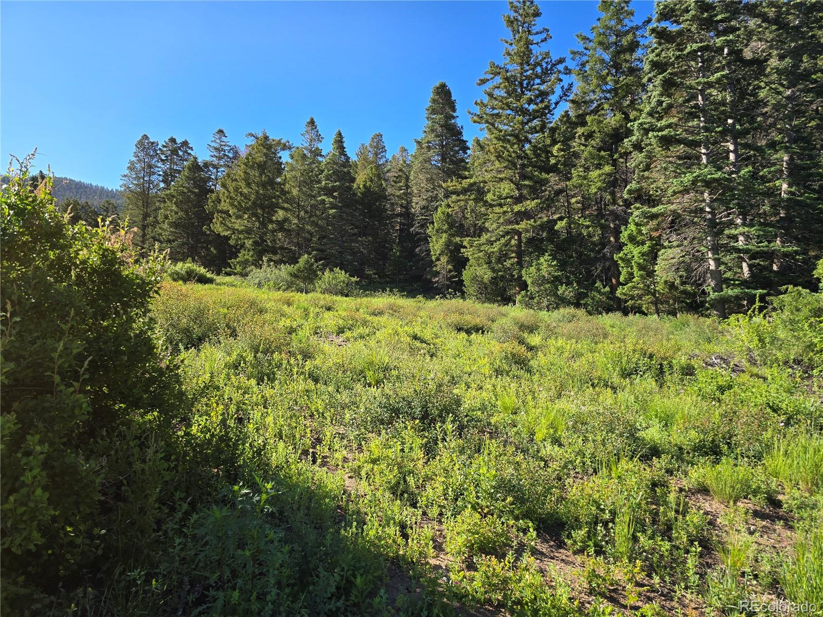 5941 Forbes Road San Luis, CO 81152 - Photo 12 of 23 Gallery Image 12