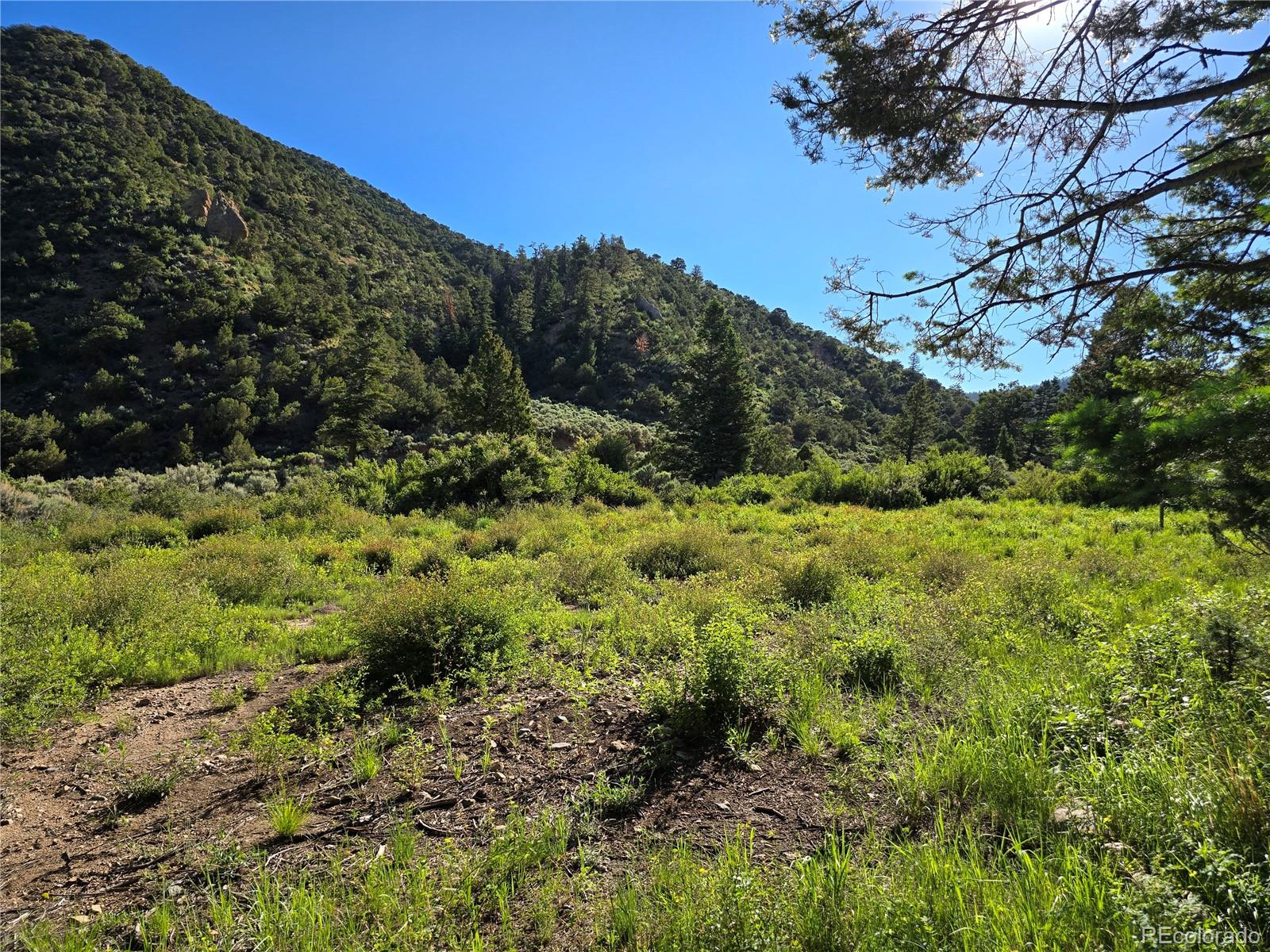 5941 Forbes Road San Luis, CO 81152 - Photo 14 of 23 Gallery Image 14
