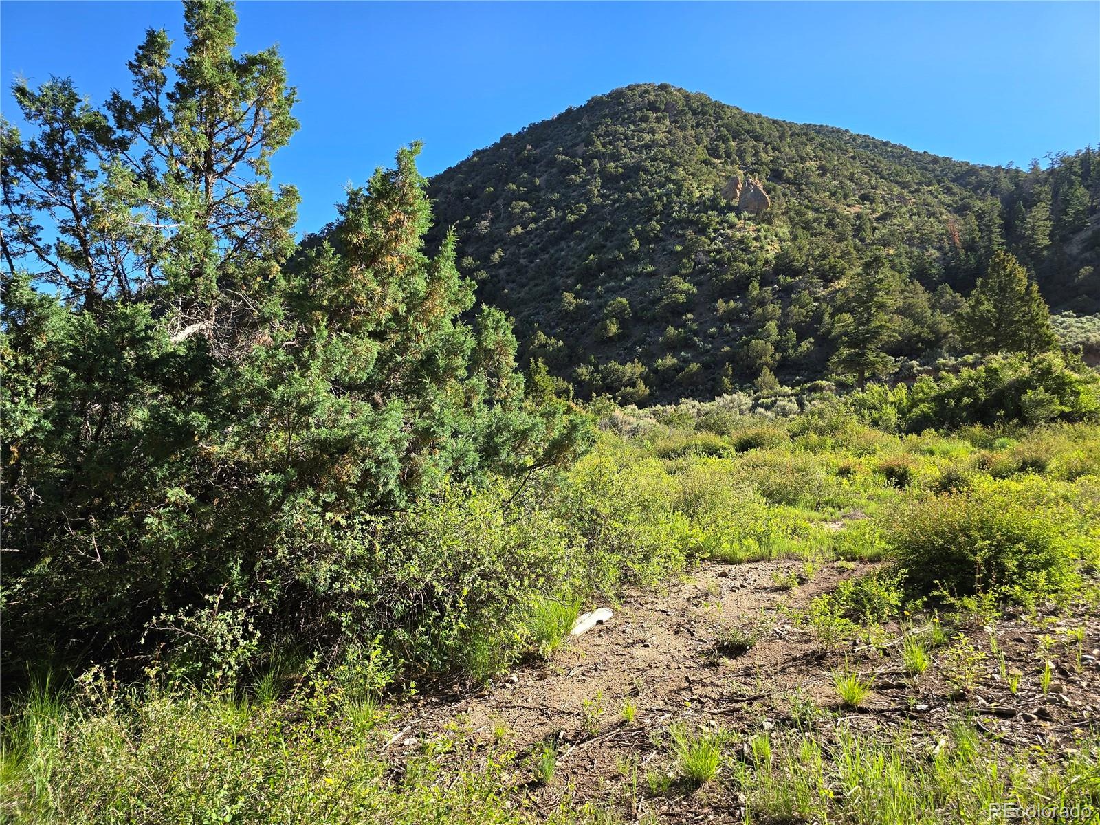 5941 Forbes Road San Luis, CO 81152 - Photo 15 of 23 Gallery Image 15