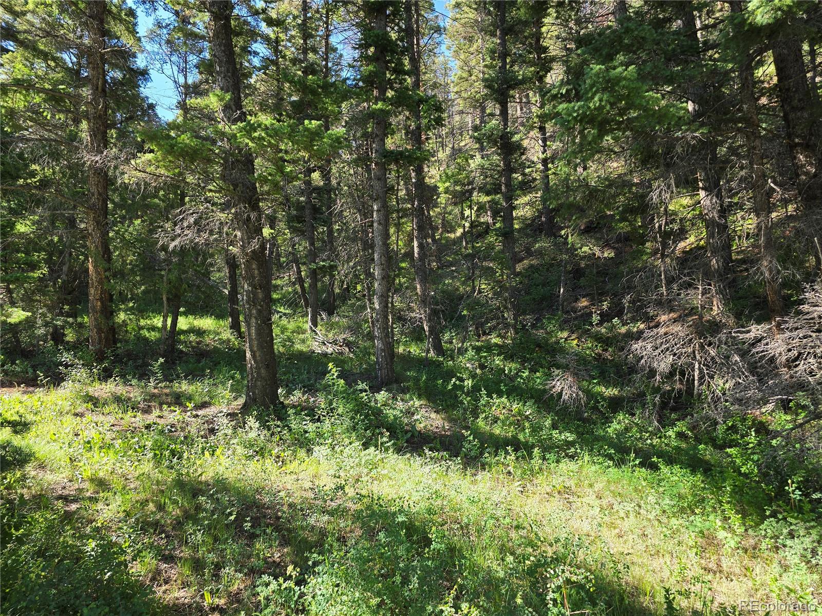 5941 Forbes Road San Luis, CO 81152 - Photo 16 of 23 Gallery Image 16