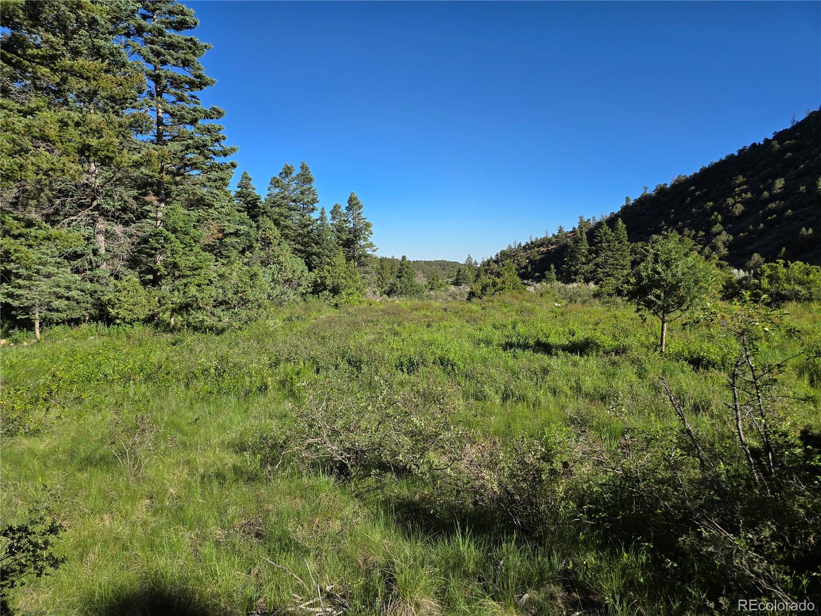 5941 Forbes Road San Luis, CO 81152 - Photo 19 of 23 Gallery Image 19