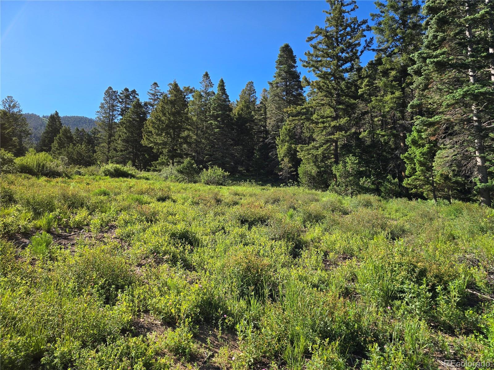 5941 Forbes Road San Luis, CO 81152 - Photo 2 of 23 Gallery Image 2