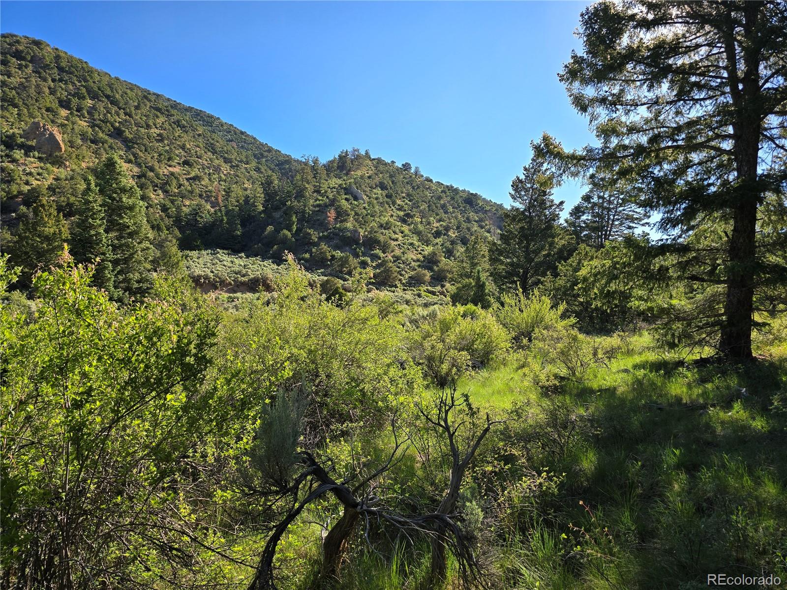 5941 Forbes Road San Luis, CO 81152 - Photo 21 of 23 Gallery Image 21
