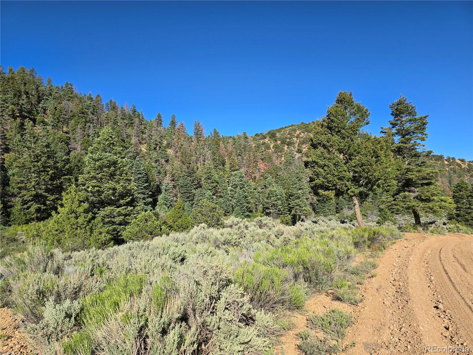 5941 Forbes Road San Luis, CO 81152 - Photo 22 of 23 Gallery Image 22